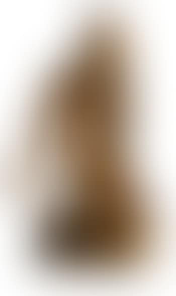 Flicka på snäcka (preview)