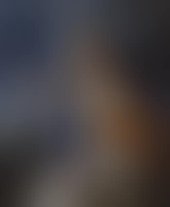 Allegorie (preview)