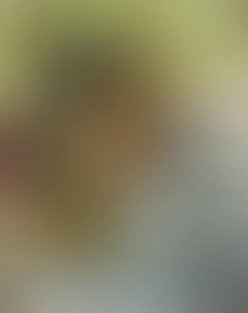Bildnis Trudy Wyss-Sautter (preview)