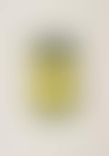 Soup Can (Yellow/Emerald/Brown) (preview)