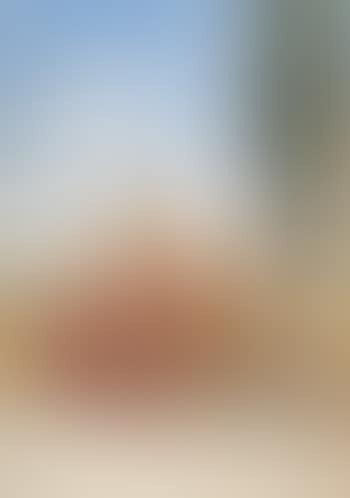 And culture stills his harmonies to heed the inspiration of the untaught seed (preview)