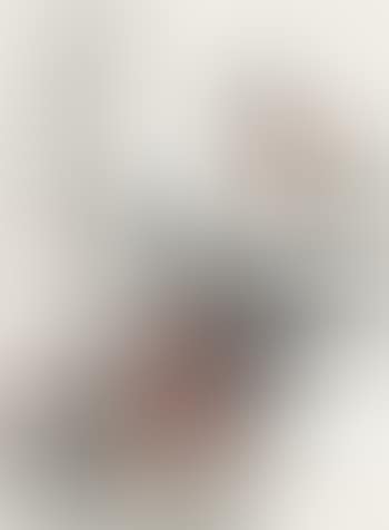 Camellia (preview)