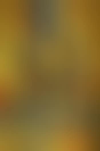 Le pont jaune, Venise (preview)