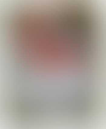 Doppelgesicht (preview)