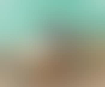 Composition florale (preview)