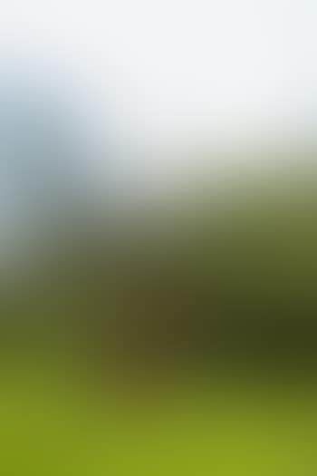 Marathonienne (preview)