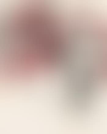 Red plum blossoms (preview)