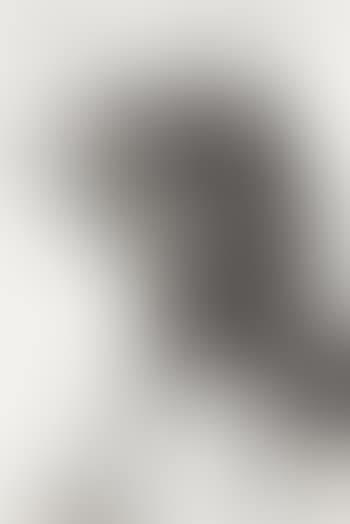 An eagle (preview)