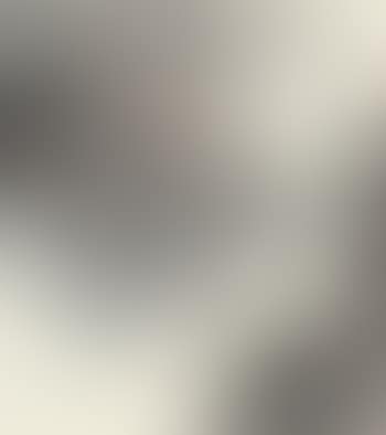 Landscape (preview)