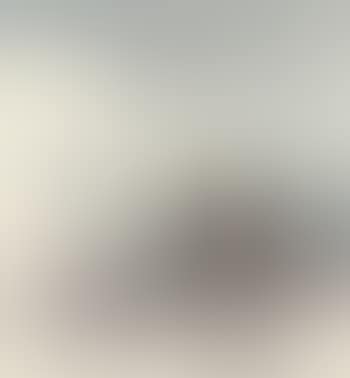 Landscape (preview)