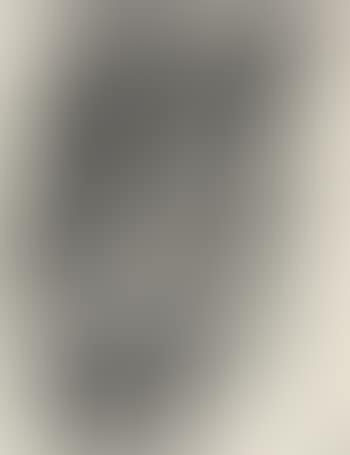 Landscape (preview)