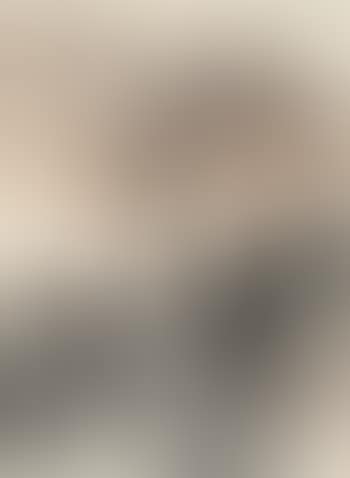 Landscape (preview)