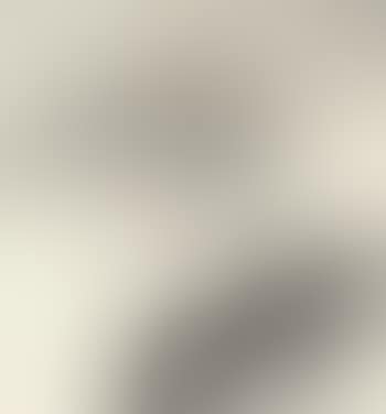 Landscape (preview)