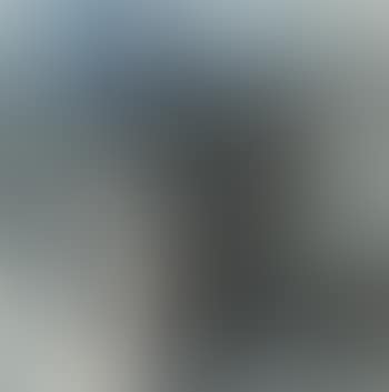 Landscape (preview)