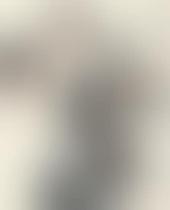 Landscape (preview)