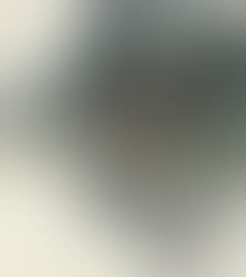 Landscape (preview)