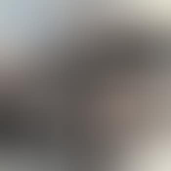 Landscape (preview)