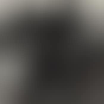 Landscape (preview)