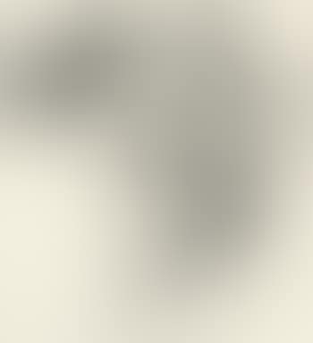 Landscape (preview)