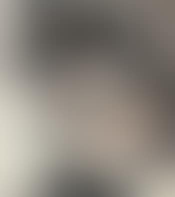 Landscape (preview)