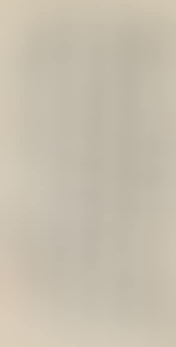 Calligraphy (preview)