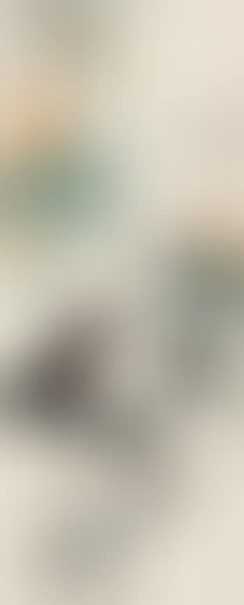 Chicken (preview)