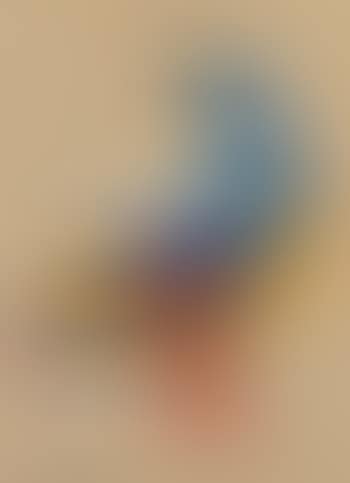 Anatra (preview)