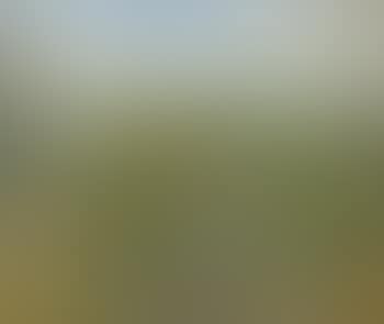 Provencal landscape (preview)