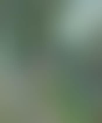 Parklandschaft. Abstrakte Komposition (preview)