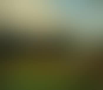 View of Mariendal near Assens (preview)