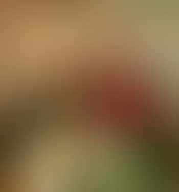 The painter's daughters Merete and Inger (preview)