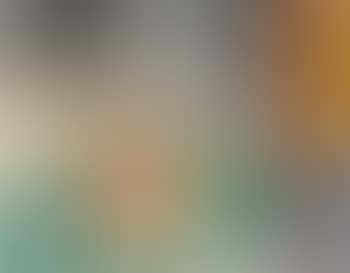 Nature morte (preview)
