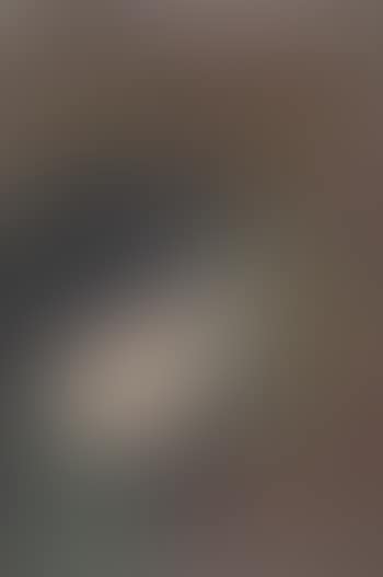 Rotarmistin (preview)