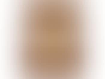 Panne (preview)