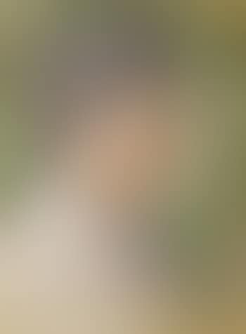 From the profile (preview)