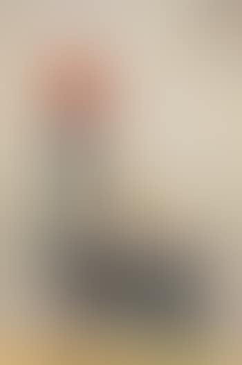 A boy standing in a rowing boat (preview)