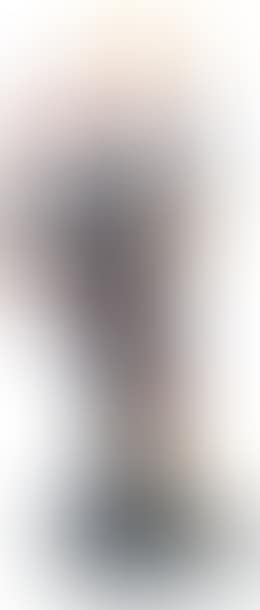 Autodistruzione (preview)