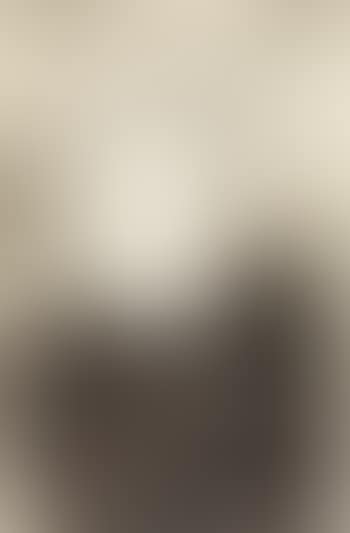Portrait of a young girl (preview)