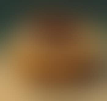 Walnut (preview)