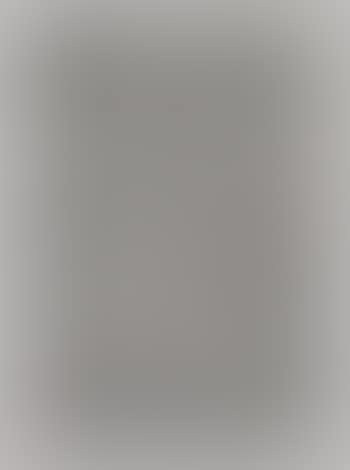 Cabeza en fondo gris (preview)