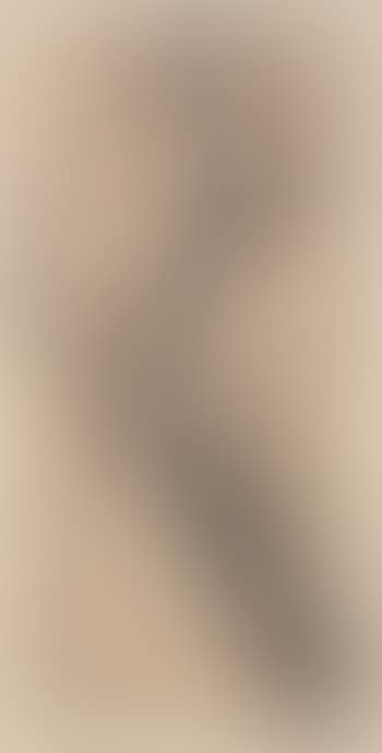 Prunus (preview)