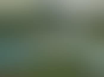 Helen Nude (preview)