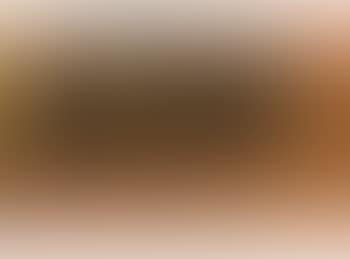 [Untitled] (preview)