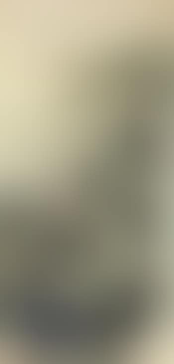 Landscape (preview)