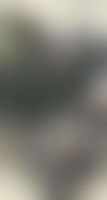 Landscape (preview)