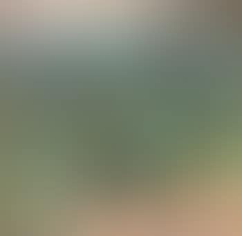 Olive grove I (preview)