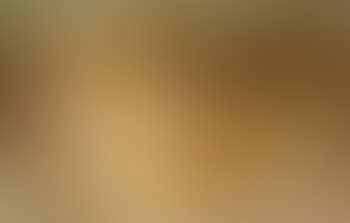 Untitled (Woman in Profile with Nose Ring) (preview)