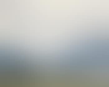 Untitled (Head of a Saint) (preview)