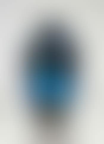 A decorated vase (preview)