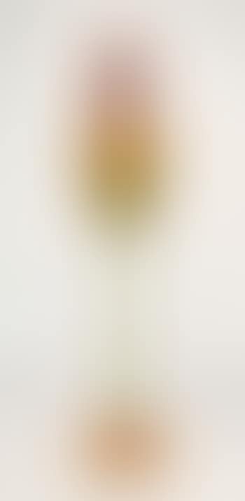 A floriform vase (preview)